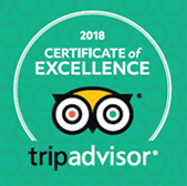 tripadvisor logo